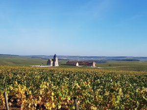 Sancerre Wine tour