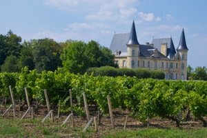 Wines from Bordeaux