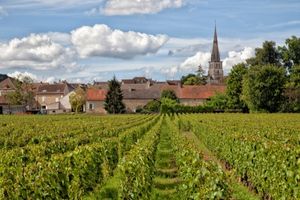 Maconnais et côte Chalonnaise